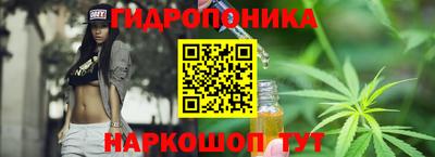 гидра Комсомольск-на-Амуре