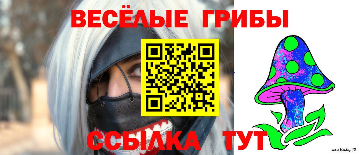 Галлюциногенные грибы Cubensis  Вход с VPN  Бирск 